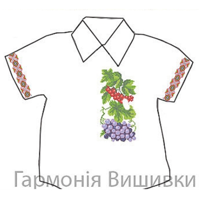 Сорочка дитяча "Калина з виноградом"