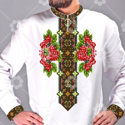 Сорочка чоловіча "СЖ 342"